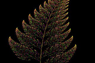 A colorful fern created by an algorithm to make fractal images