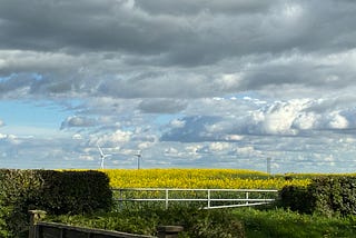 April Skies — Indoor Chaos — New House Rule