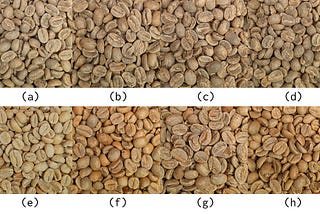 Effect of post-harvest processing on coffee’s roasting performance