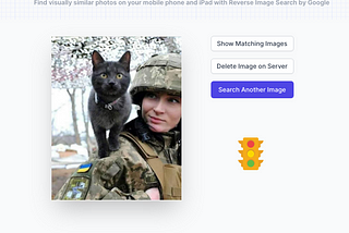 Verify Viral Photos with Reverse Search