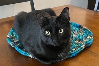 Judas, my black cat, looking at me while laying on a blue crocheted bed