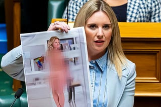 Why This New Zealand MP showed Nude Image Of Herself In Parliament