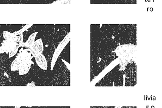 Lançamento de DESTERRO, zine