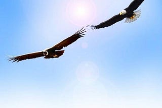 The Flight of the Eagle and the Condor –