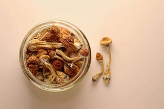 Road Trip Microdosed Blend Mushroom Gummies Review by Mega Man