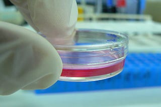 Cell Culture Confusion
