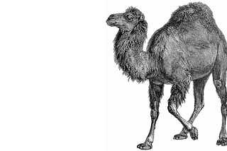 Cron and a Perl script