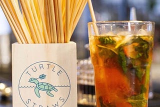 Director of Portsmouth based company “Turtle Straws” paves the way for environmental…