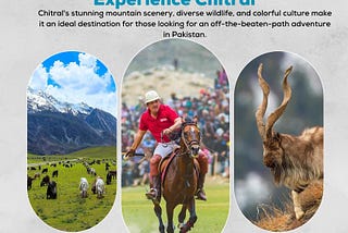 Chitral Tour 2024