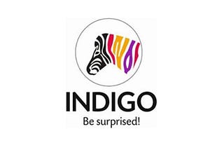 Indigo Paints- Be surprised!