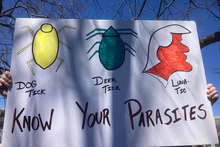 A “No Kings” protester in St. Louis holds up a sign “Know Your Parasites,” showing three examples: a Dog Tick (outlined and colored in yellow), a Deer Tick (outlined and colored in green), and a Luna-Tic.” The latter is an outline of Donald Trump’s head, with the face colored in orange. (Photo by author.)