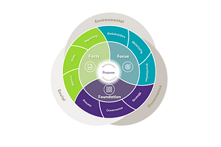 The ESG Journey Framework