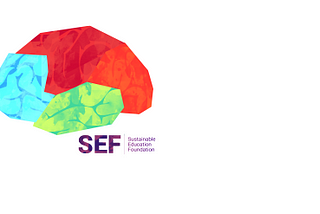 My Experience at SEF (Sustainable Education Foundation)-Developers Team