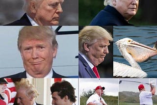 Here they are — some of the more unflattering photos of Trump, found by doing a quick search of…