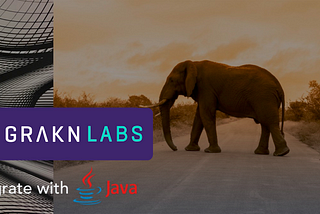 Loading data into a Grakn Knowledge Graph using the Java client