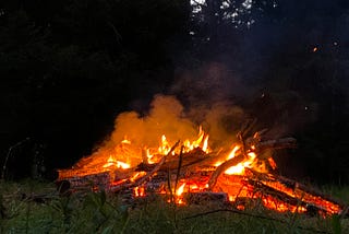 Large bonfire with redwoods in the background