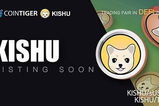 Kishu Inu is $DOGE’s little brother and $HOKK’s best friend.