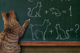 Brown tabby cat standing in front of a chalkboard with chalk in its paw. On the board is are these formulas: mouse + mouse = 2. Cat + mouse = 1. Dog + cat = ?