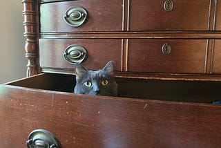 He Just Wanted Her To Like Him