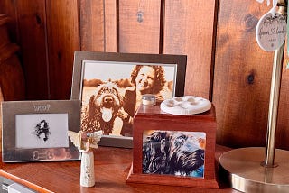 Loss of a Dog