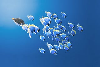 Unlocking Ambiguity in Semantic Search: Introducing Blowfish