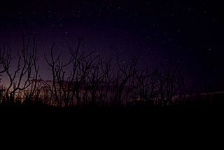 Astrophotography Florida Everglades National Park