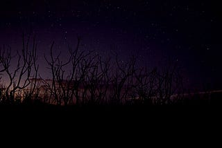 Astrophotography Florida Everglades National Park