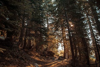 Sleepless in Yosemite