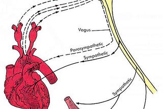 Cardiac Control Center [CCC] Functioning