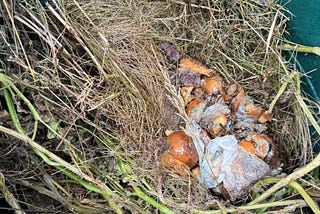 ‘I am a compost heap.’