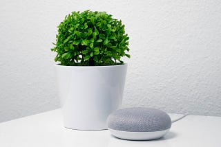 Smart speakers: a privacy aspect