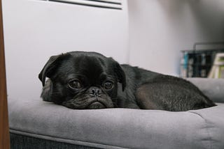 The Virtue of a Boring Life