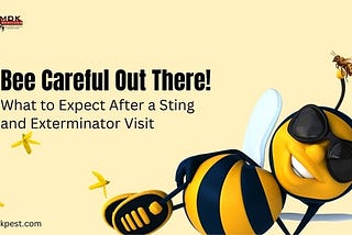 Bee Careful Out There! What to Expect After a Sting and Exterminator Visit — Quora