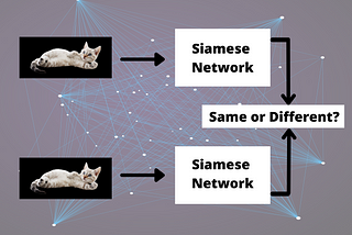 What are Siamese Neural Networks in Deep Learning?