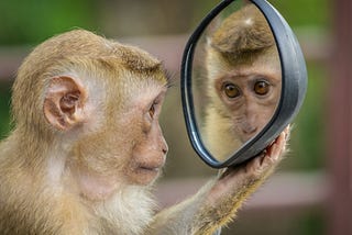 Who Is It You See When You Look In The Mirror?