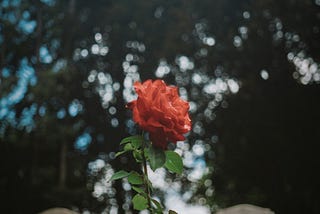 The Thought of Death