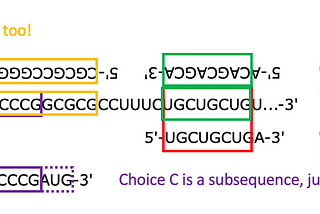 Passage Review: miRNAs and the transmission of genetic information to proteins, Part 1