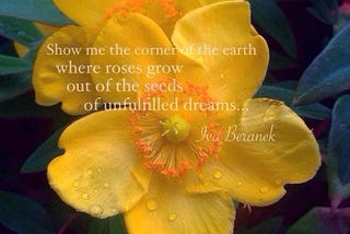 The corner of the earth
