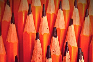 A field of pencils sticking straight up.