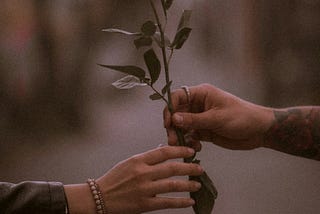Why Romantasy Readers Crave Emotion More Than Worldbuilding