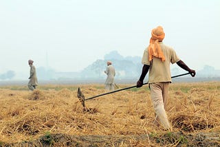 The dark side of Indian Agriculture