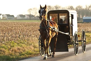 4 Popular Myths About The Amish