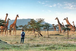 Tanzania Safaris For Solo Travelers