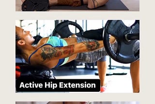 Hip Flexor / Hip Extensor Force Couples