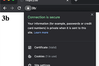 Using HNS websites securely