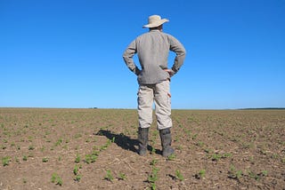 U.S. experiences 12th driest winter on record, crop yield under stress