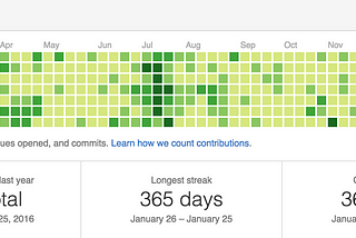 A Year of Code