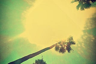 New California poll reveals the state of our overheated minds on the environment