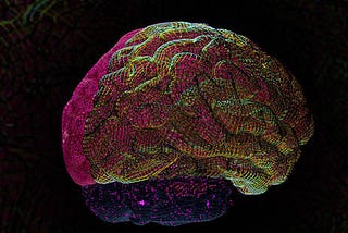 Neurotech: Rewiring the Future of Human Well-Being