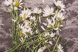 What to do When Someone Dies